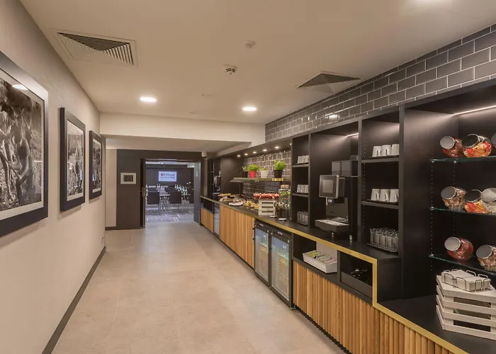 法兰克福市中心希尔顿花园酒店 4* 美因河畔法兰克福